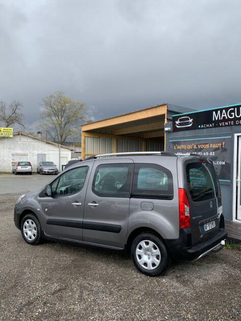 PEUGEOT PARTNER TEPEE 2009