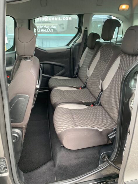 PEUGEOT PARTNER TEPEE 2009