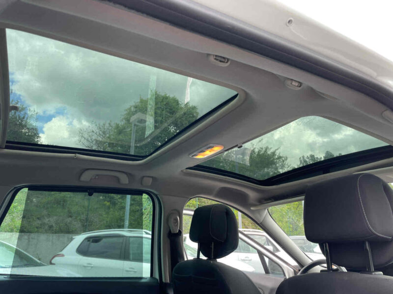 RENAULT Grand Scenic III 2010