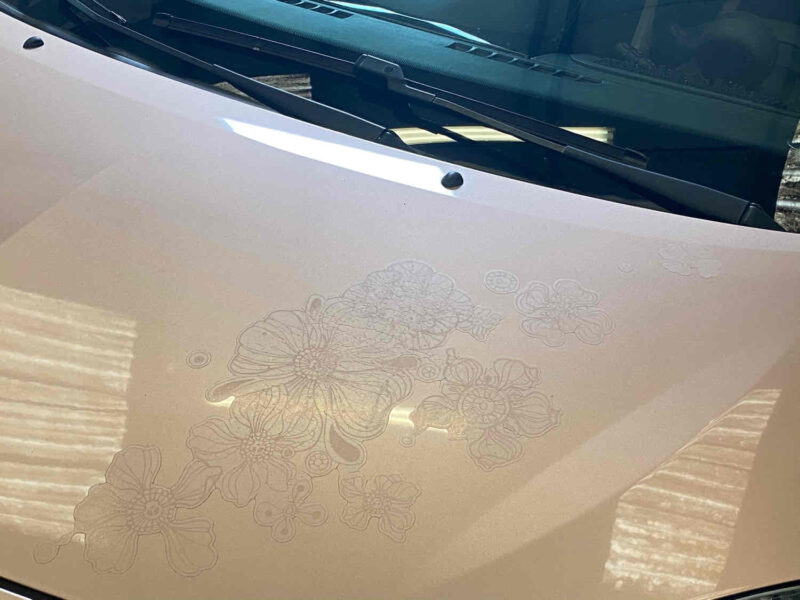 RENAULT TWINGO II 2010