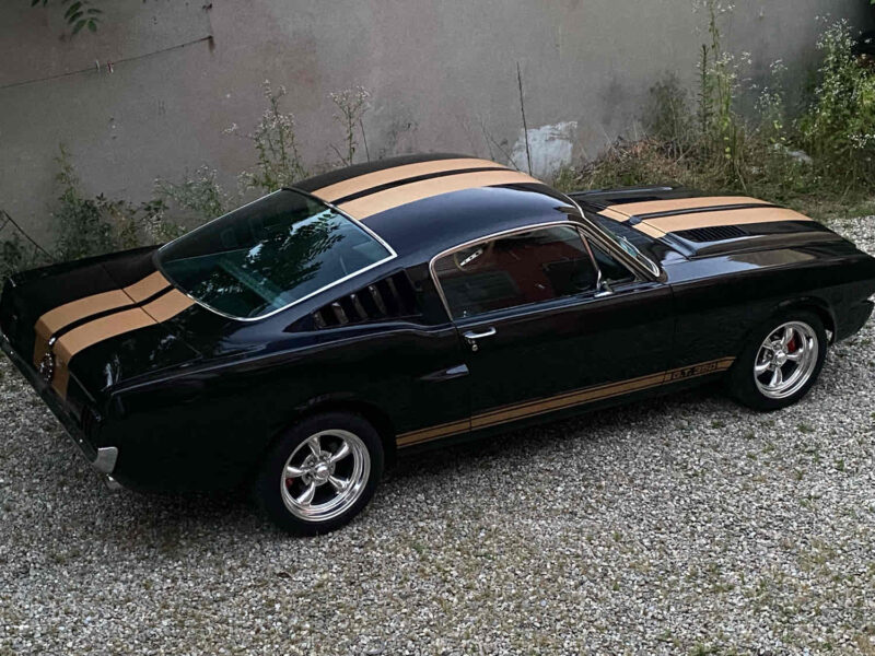 FORD MUSTANG FASTBACK CLONE 350 HERTZ REPRISE POSSIBLE