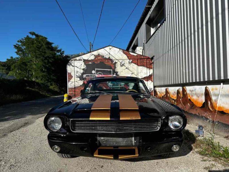 FORD MUSTANG FASTBACK CLONE 350 HERTZ REPRISE POSSIBLE