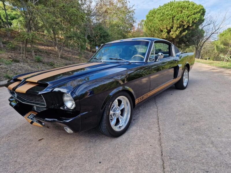 FORD MUSTANG FASTBACK CLONE 350 HERTZ REPRISE POSSIBLE