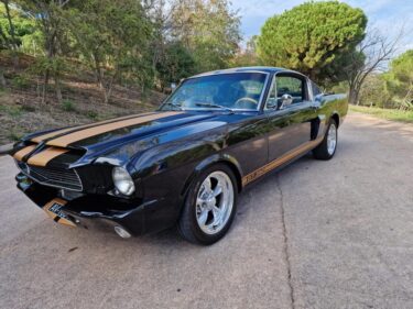 FORD MUSTANG FASTBACK CLONE 350 HERTZ REPRISE POSSIBLE