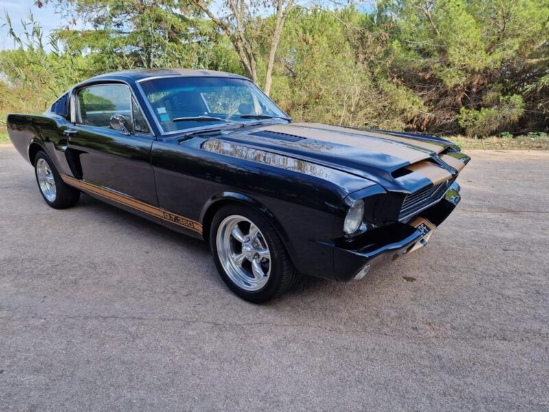 FORD MUSTANG FASTBACK CLONE 350 HERTZ REPRISE POSSIBLE