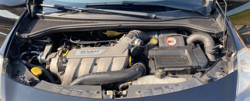 RENAULT CLIO III RS 2.0 16S 200ch Pack Luxe 