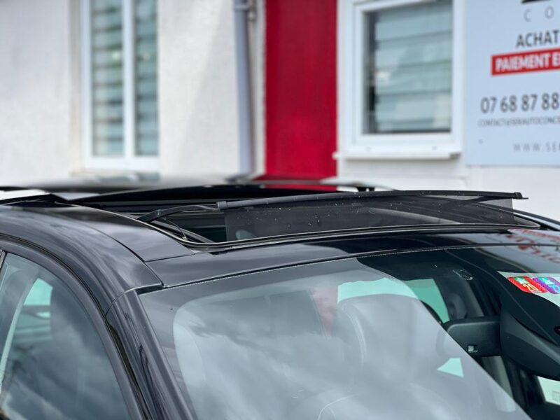 RENAULT SCÉNIC III 2013