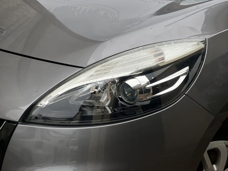 RENAULT SCÉNIC III 2013