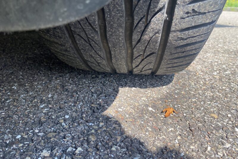 AUDI A5 Sportback V6 TDI 240ch Ambition Luxe