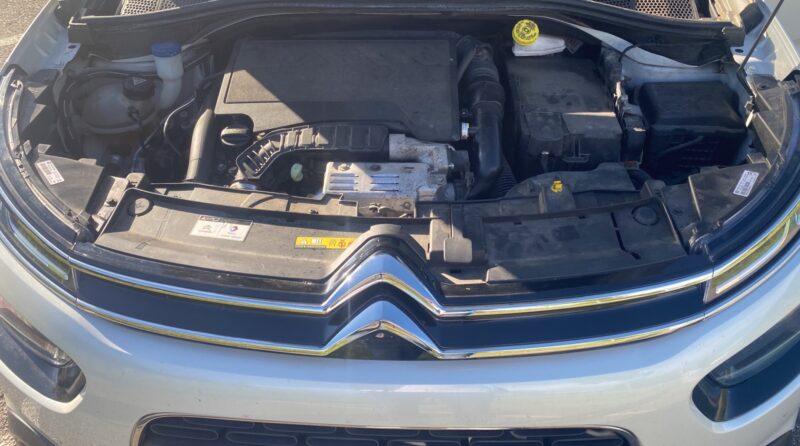 CITROEN C4 CACTUS 110ch Feel