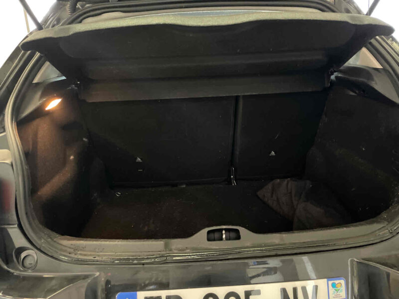 CITROEN C4 CACTUS 1.6 BlueHDi 100 1560cm3 99cv