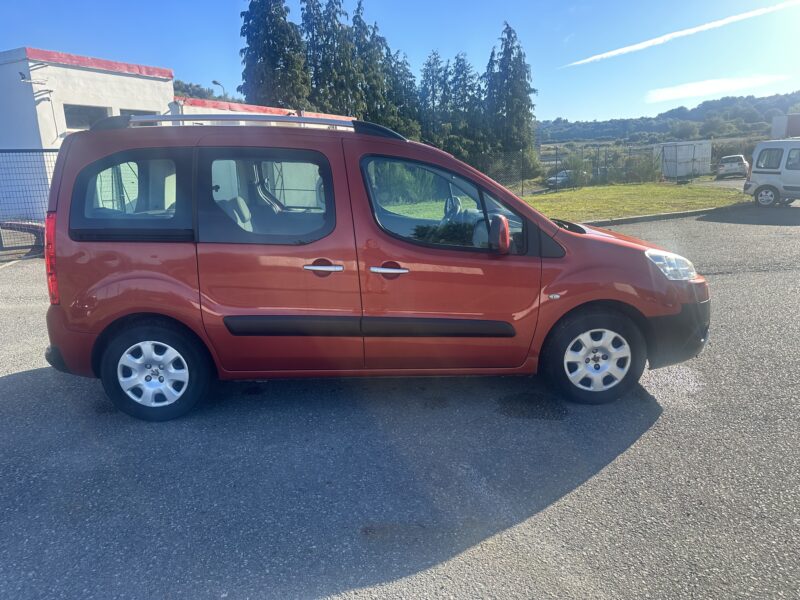 PEUGEOT PARTNER TEPEE 2009