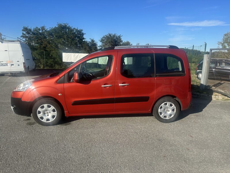 PEUGEOT PARTNER TEPEE 2009