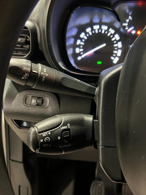 CITROEN BERLINGO Camionnette/Monospace 2019