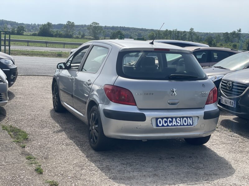 PEUGEOT 307 2002