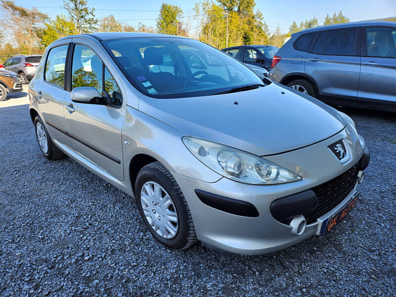 PEUGEOT 307 HDI 90CV CONFORT 2007 206000 KM 