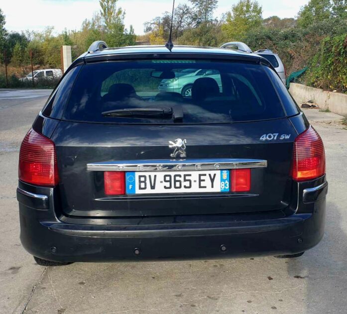 PEUGEOT 407 2007