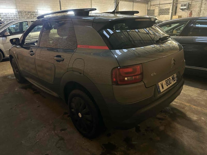 CITROEN C4 CACTUS 1.6 HDI 100CV Shine Edition