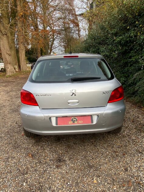 PEUGEOT 307 2006 1.6 110cv