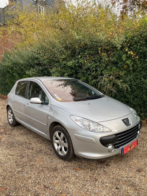 PEUGEOT 307 2006 1.6 110cv