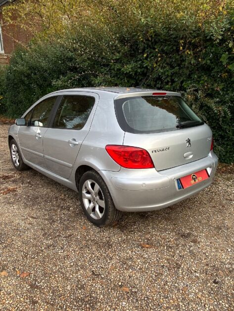 PEUGEOT 307 2006 1.6 110cv
