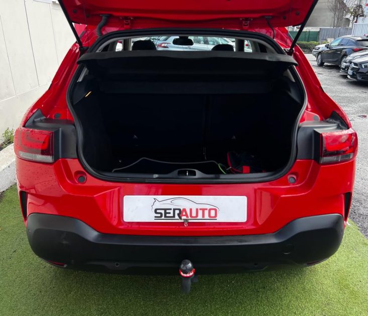 CITROEN C4 CACTUS 2019