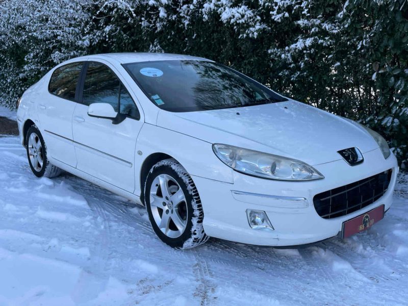 PEUGEOT 407 2009 1.6 HDi 110 cv 