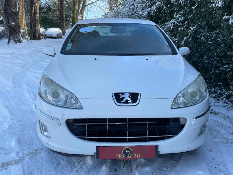 PEUGEOT 407 2009 1.6 HDi 110 cv 