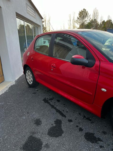 PEUGEOT 206 FOREVER 1.4i 2007