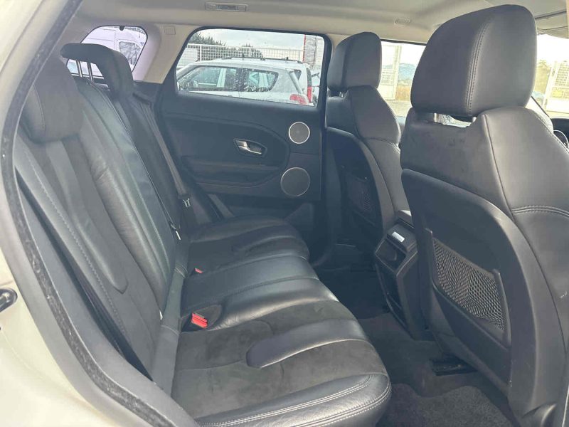 EVOQUE Mark I eD4 Pure Pack Tech Pure P1