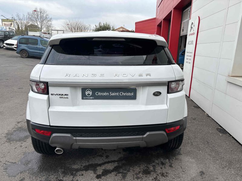 EVOQUE Mark I eD4 Pure Pack Tech Pure P1
