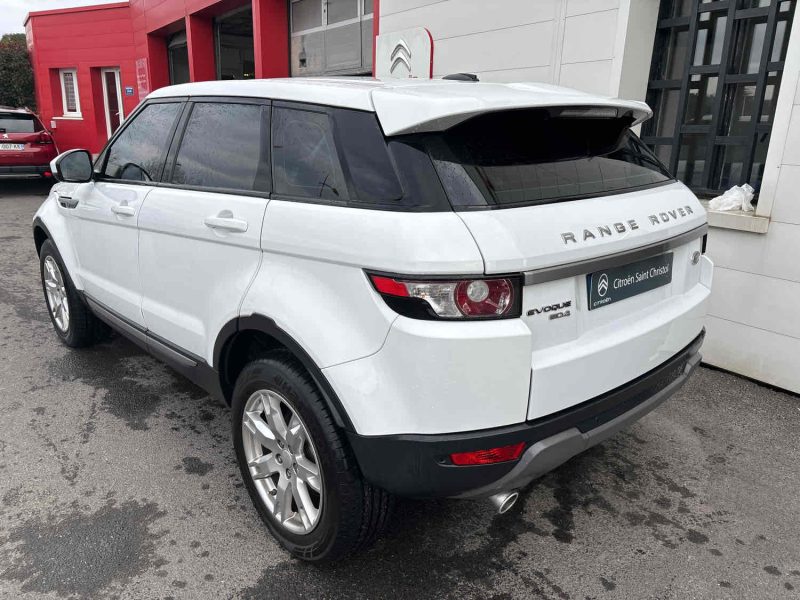 EVOQUE Mark I eD4 Pure Pack Tech Pure P1