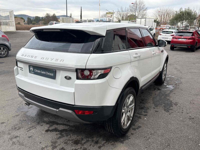 EVOQUE Mark I eD4 Pure Pack Tech Pure P1