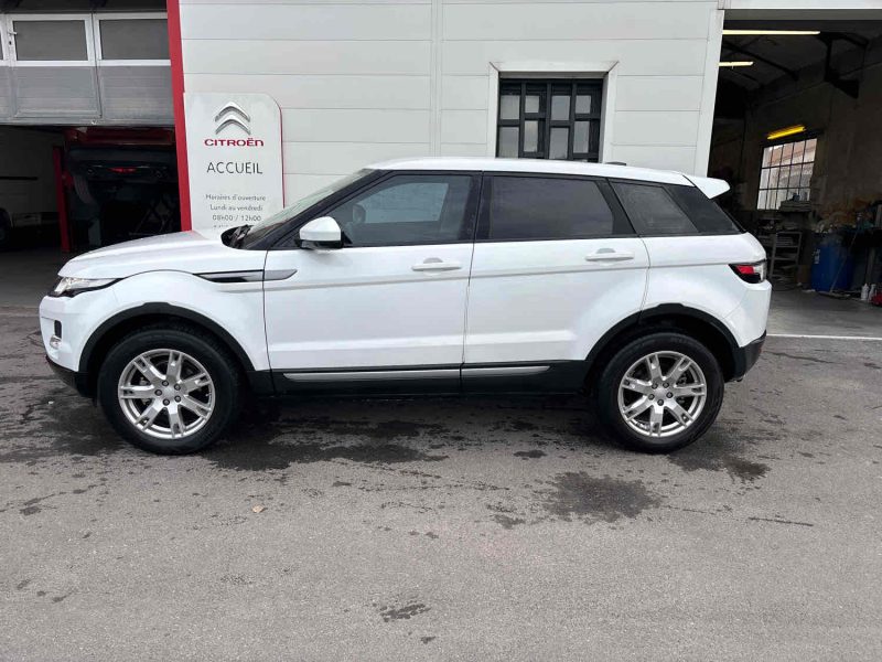 EVOQUE Mark I eD4 Pure Pack Tech Pure P1