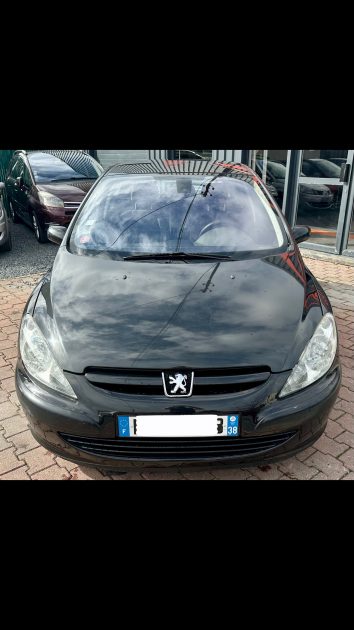 PEUGEOT 307 2004
