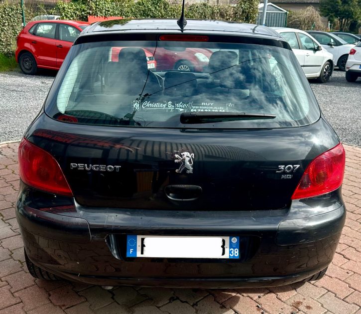 PEUGEOT 307 2004