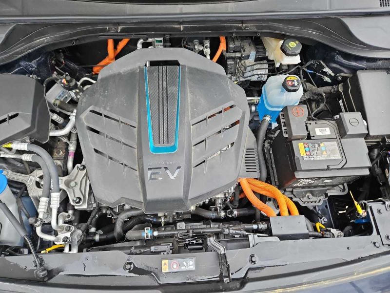 Kia Niro e-Niro electric drive 150 kW Vision 2020