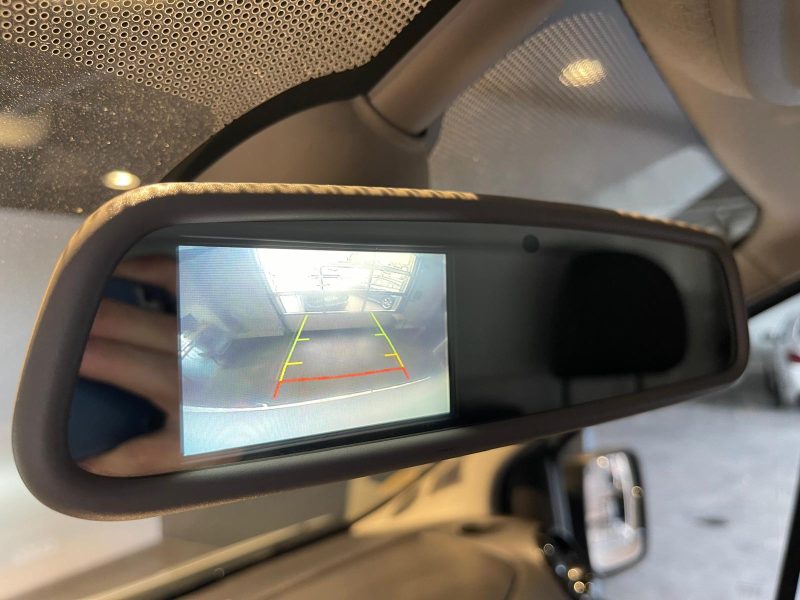 RENAULT  TRAFIC  2019