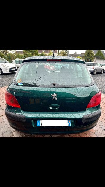 PEUGEOT 307 2001