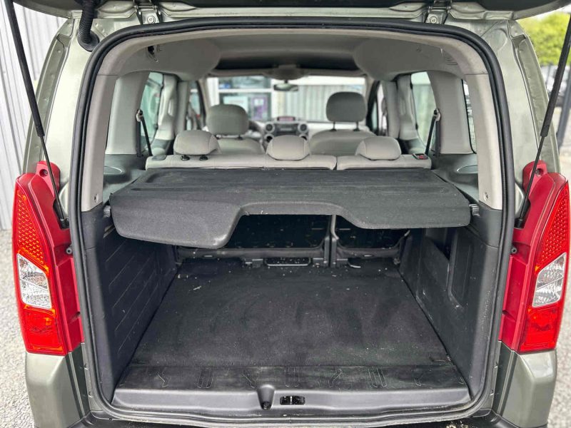 PEUGEOT PARTNER TEPEE 2009