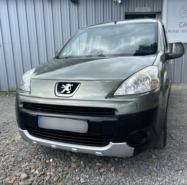 PEUGEOT PARTNER TEPEE 2009