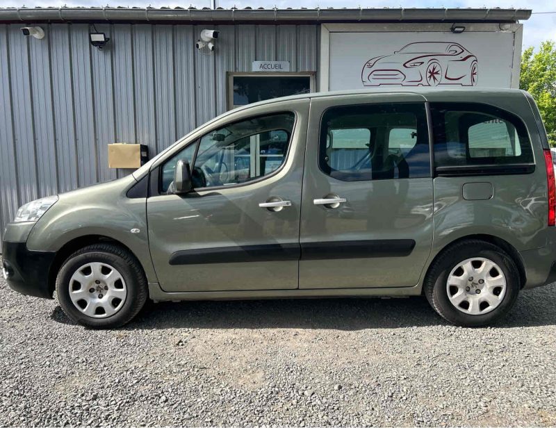 PEUGEOT PARTNER TEPEE 2009