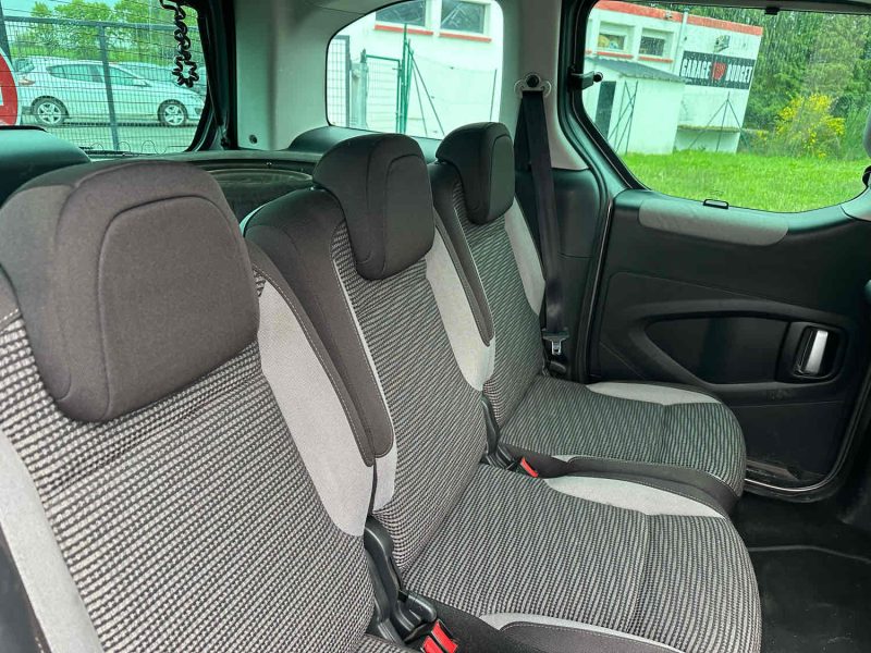 PEUGEOT PARTNER TEPEE 2009