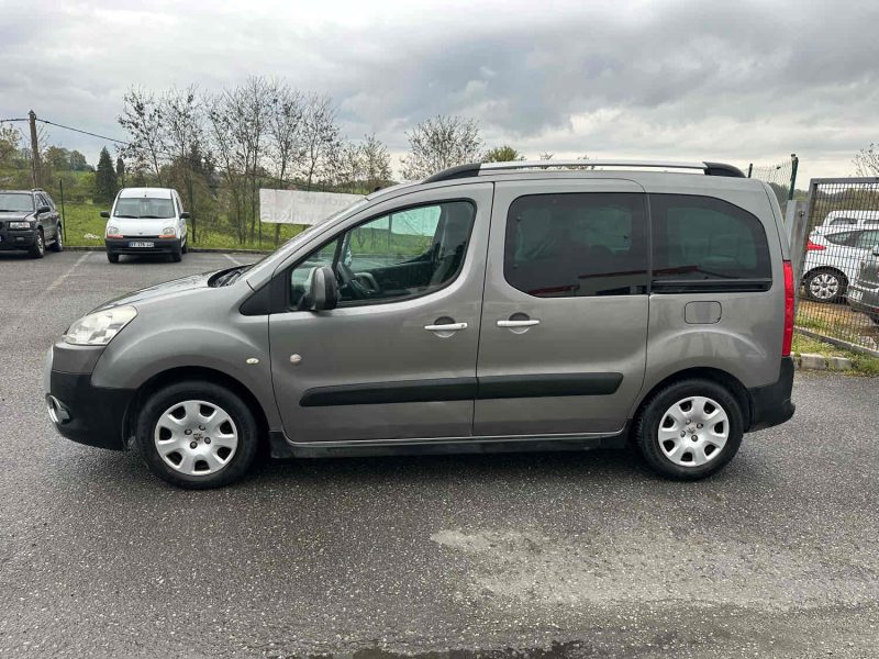 PEUGEOT PARTNER TEPEE 2009