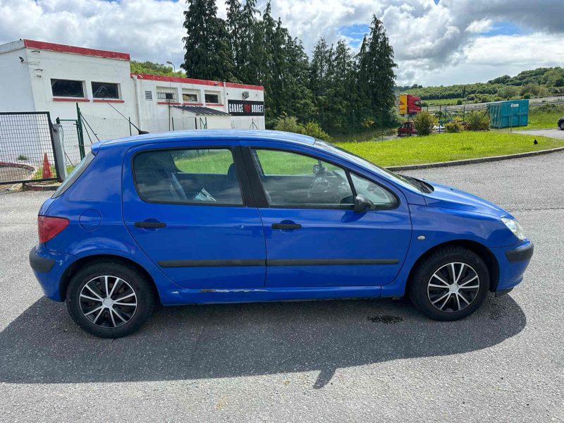 PEUGEOT 307 2001