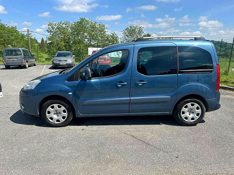 PEUGEOT PARTNER TEPEE 2010