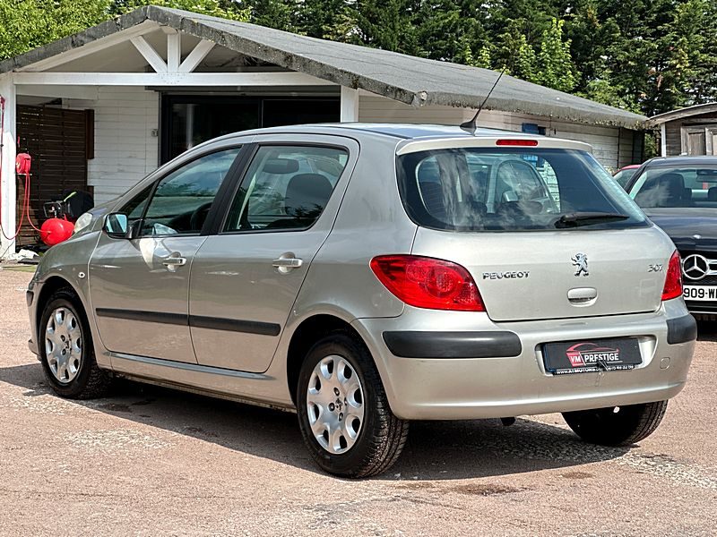 PEUGEOT 307 2005