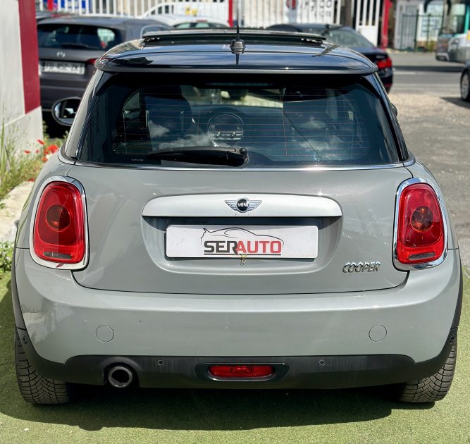 MINI MINI 2015