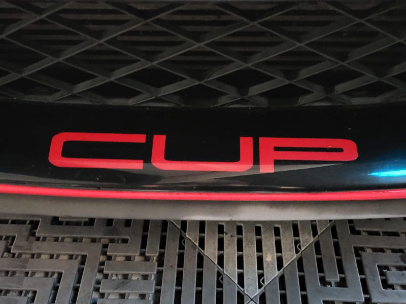 RENAULT MEGANE III RS Coupé 2.0 Turbo 265cv Cup BVM6