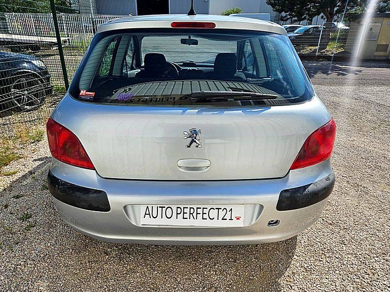 PEUGEOT 307 2004